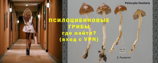 ешки Алзамай