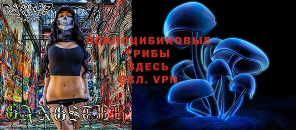 ешки Алзамай