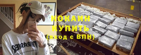 ешки Алзамай