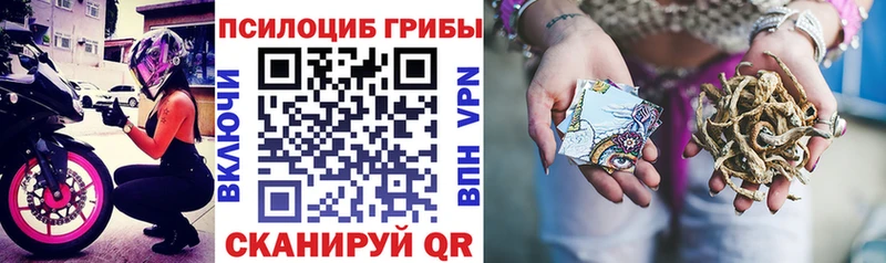 цены наркотик  Гаврилов Посад  Галлюциногенные грибы прущие грибы 